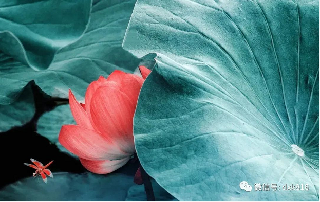 做不了正經(jīng)生意的門面 做不了正經(jīng)生意的門面