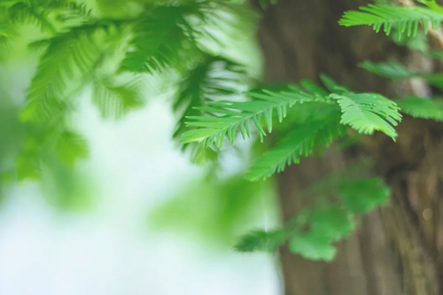 認(rèn)識(shí)陰陽(yáng) 認(rèn)識(shí)陰陽(yáng)