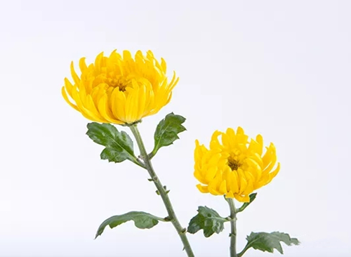 名字鑒定(四) 名字鑒定(四)