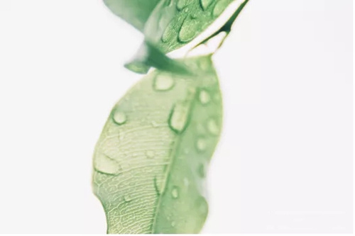 認識陰陽 認識陰陽