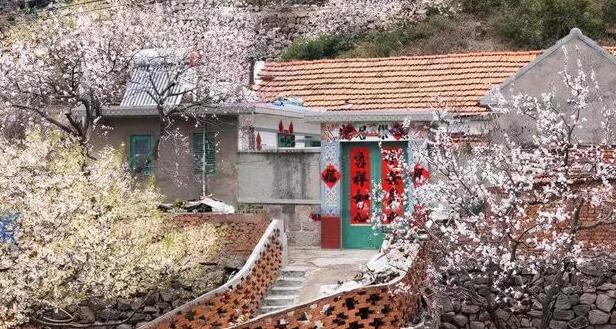 QQ截圖20220126163916.jpg QQ截圖20220126163916.jpg